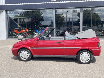 Rover 100